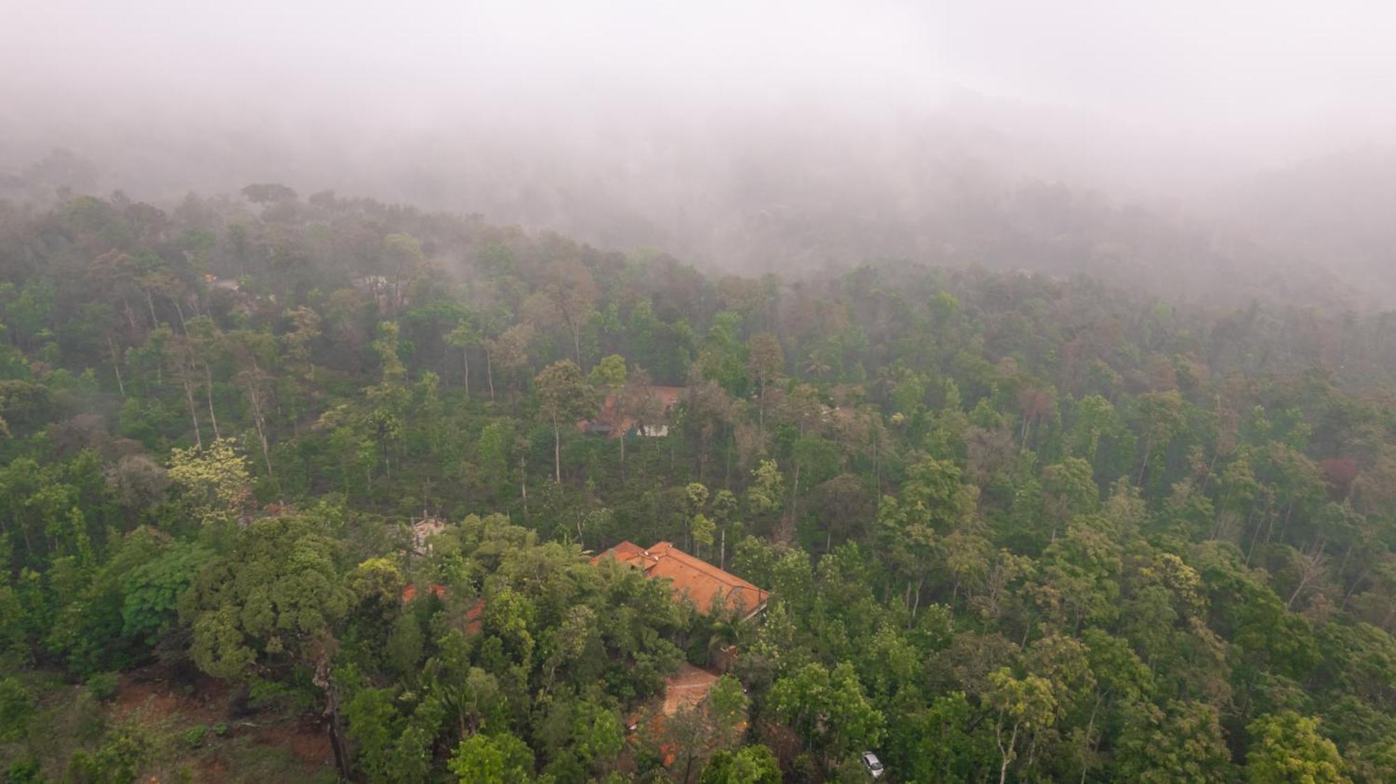 Kingmaker'S Plantation With River Stream Villa Madikeri Bagian luar foto