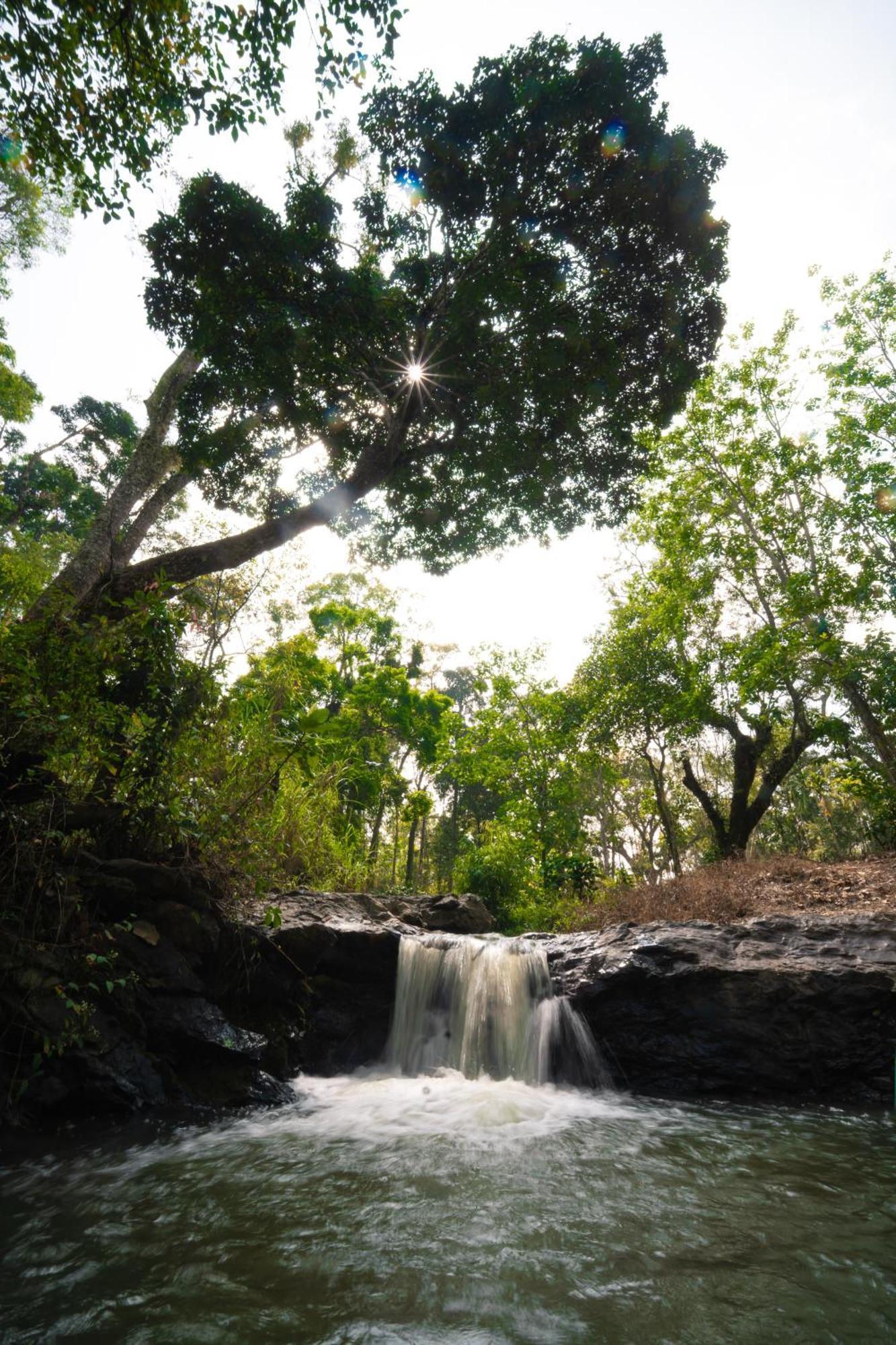 Kingmaker'S Plantation With River Stream Villa Madikeri Bagian luar foto